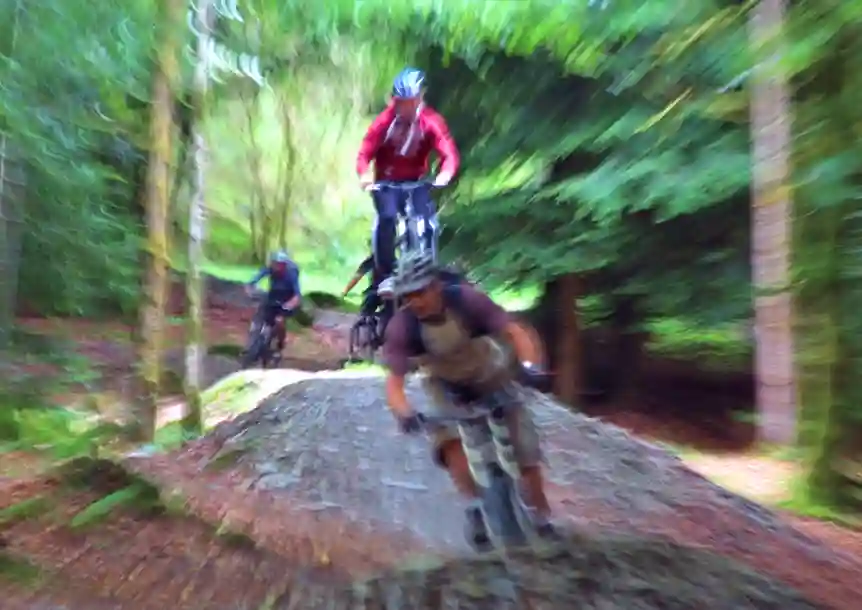 Brechfa Mountain Biking