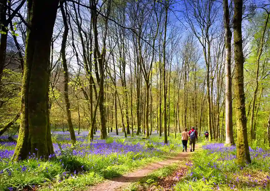 Dinefwr Park and Castle