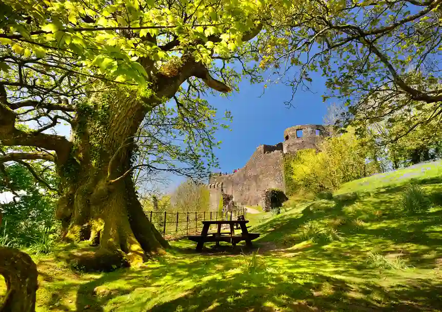 Dinefwr Park and Castle