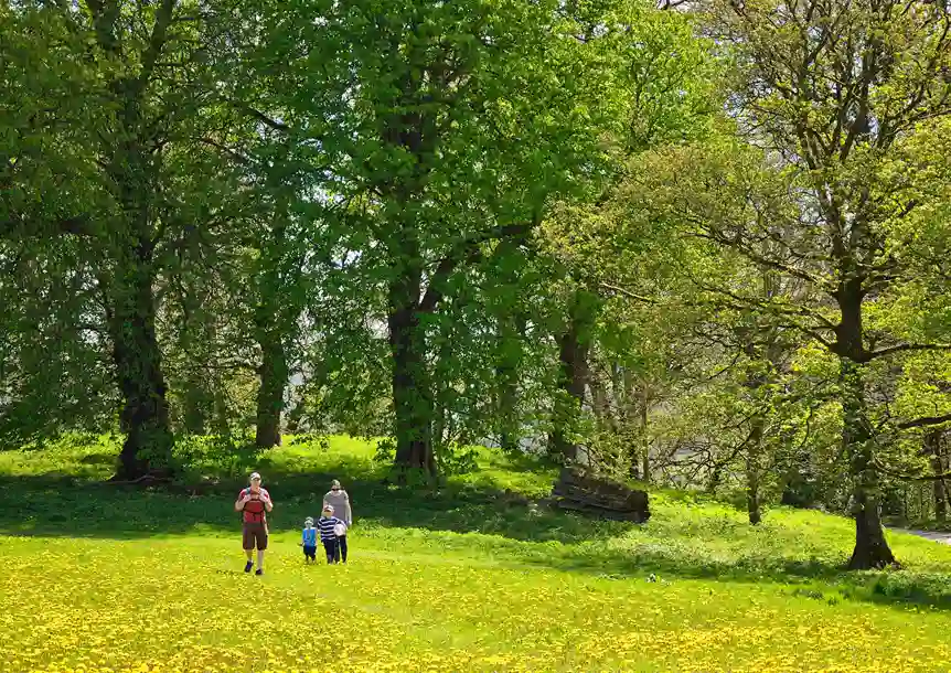 Dinefwr Park and Castle