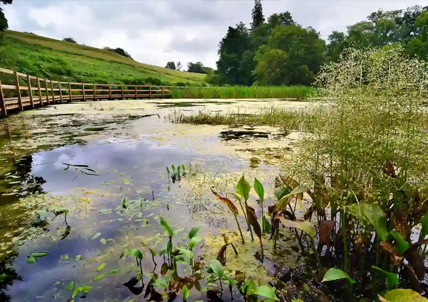Dinefwr Park and Castle