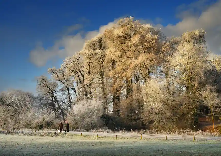 Dinefwr Park and Castle