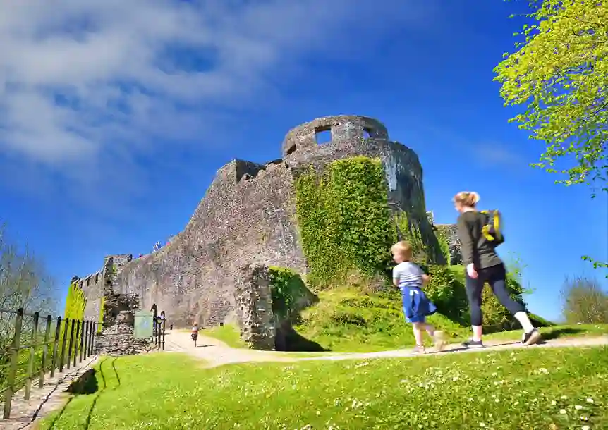 Dinefwr Park and Castle