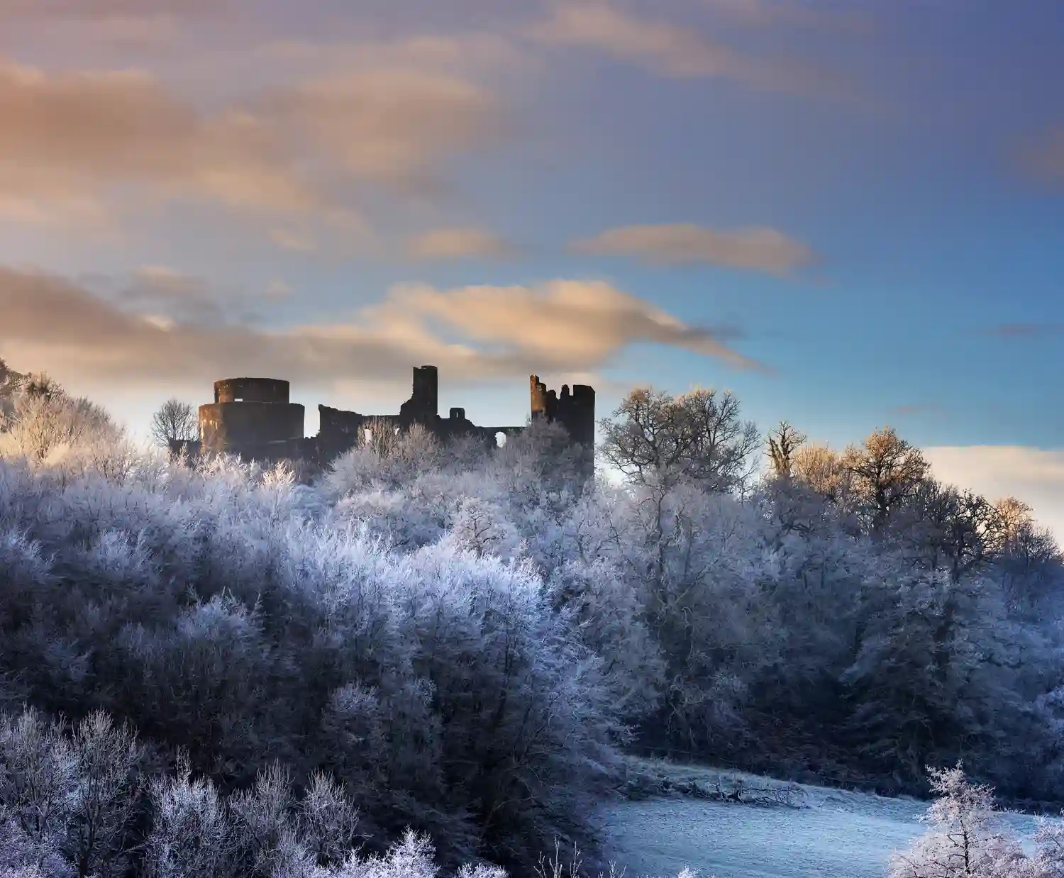 Dinefwr Park and Castle