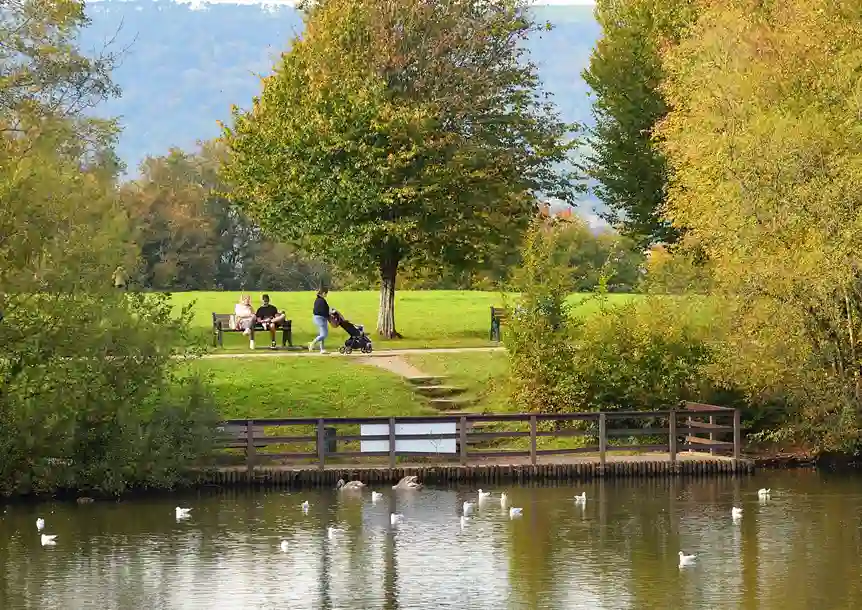 Gnoll Country Park, Neath