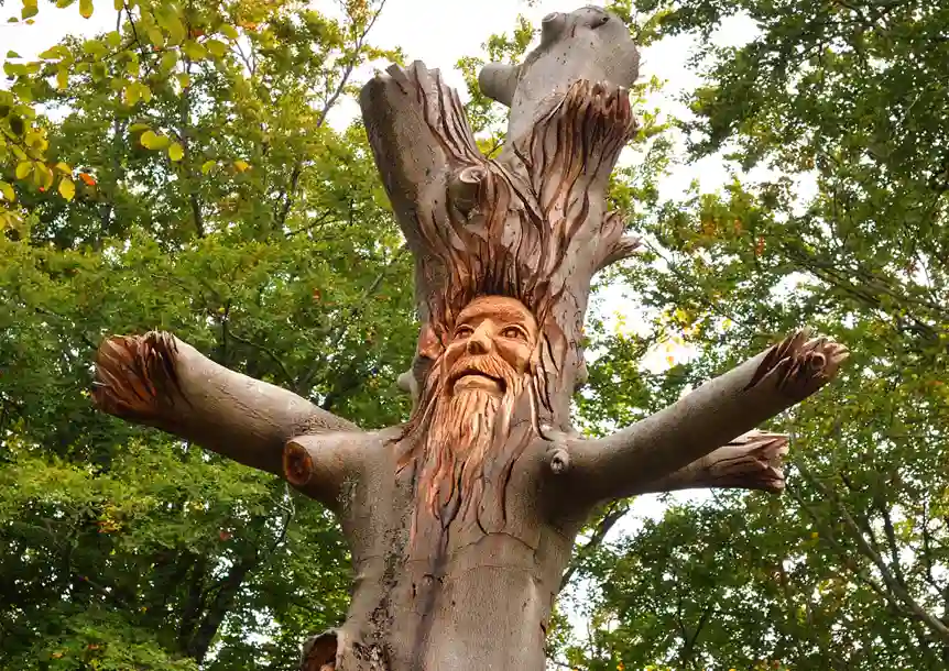 Gnoll Country Park, Neath