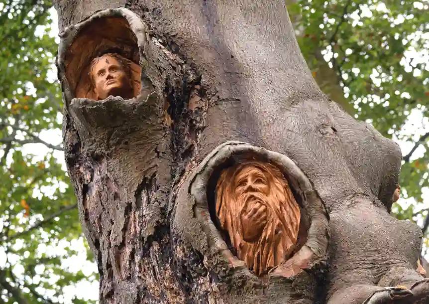 Gnoll Country Park, Neath