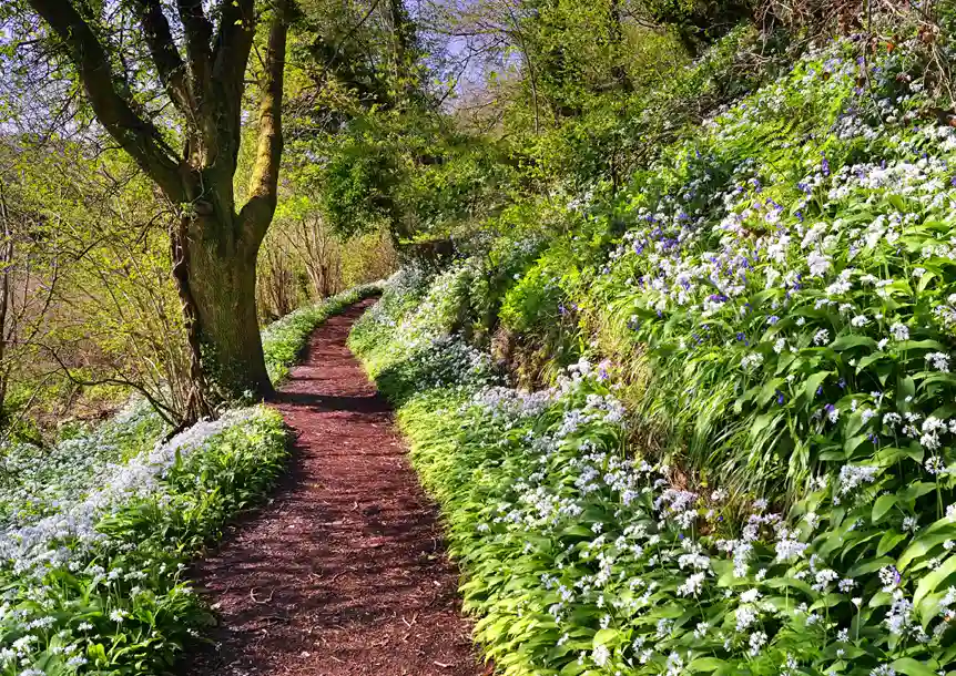 Castle walk, Kidwelly, Carmarthenshire
