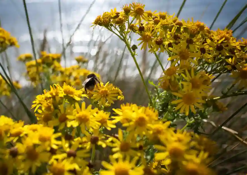 Llanelli Beach, Carmarthenshire