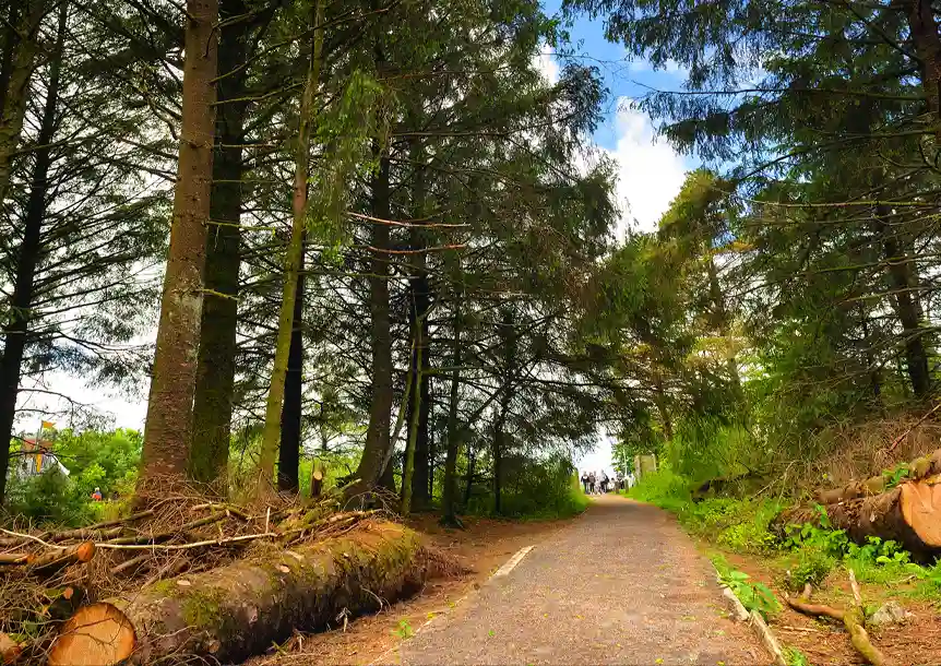 Llyn Llech Owain Country Park, Gorslas, Carmarthenshire
