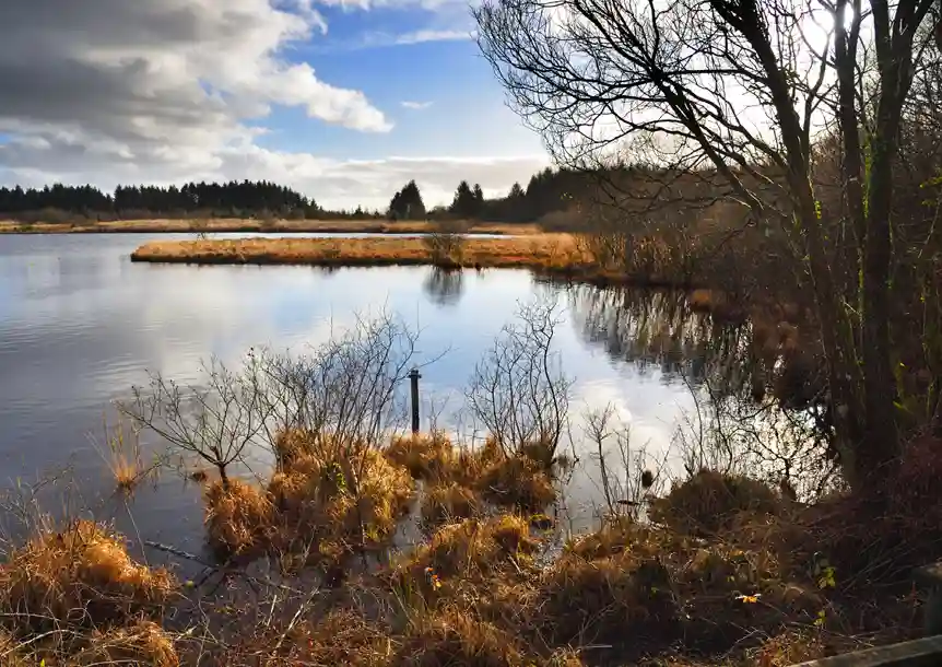 Llyn Llech Owain Country Park