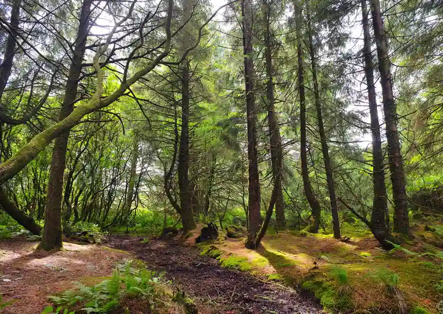 Llyn Llech Owain Country Park