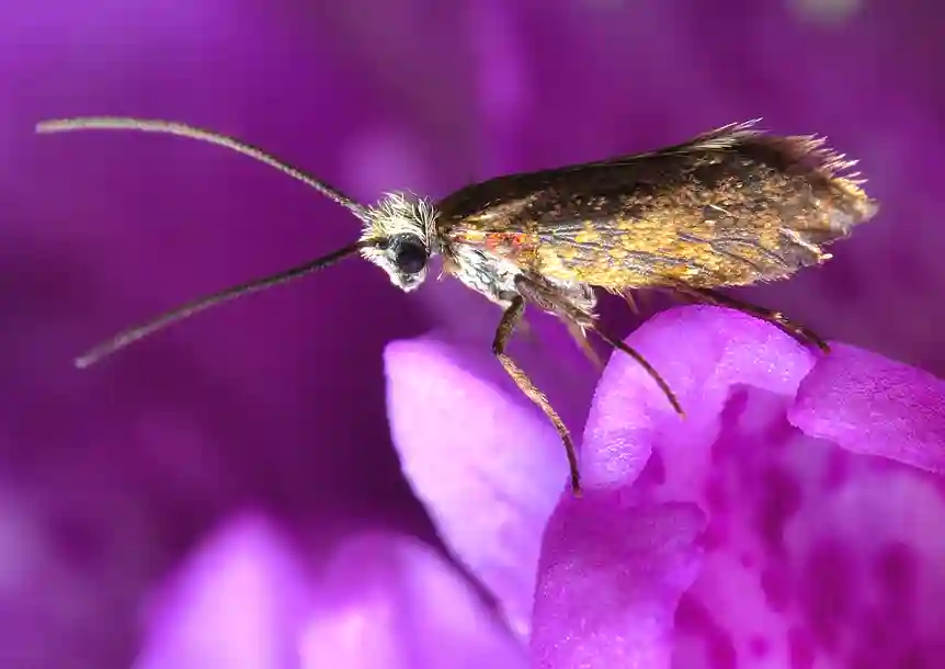 Llyn Llech Owain Country Park, Gorslas, Carmarthenshire