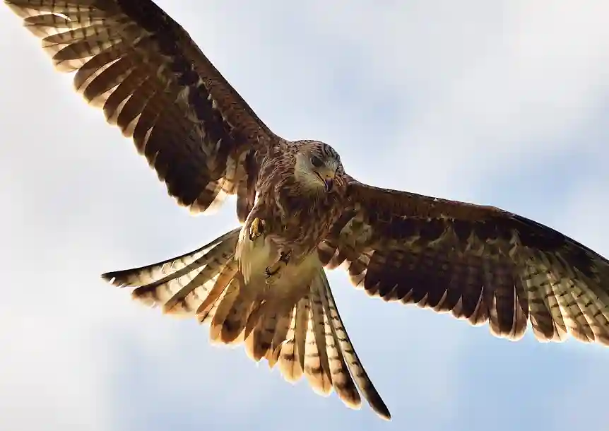 Llyn Llech Owain Country Park, Gorslas, Carmarthenshire