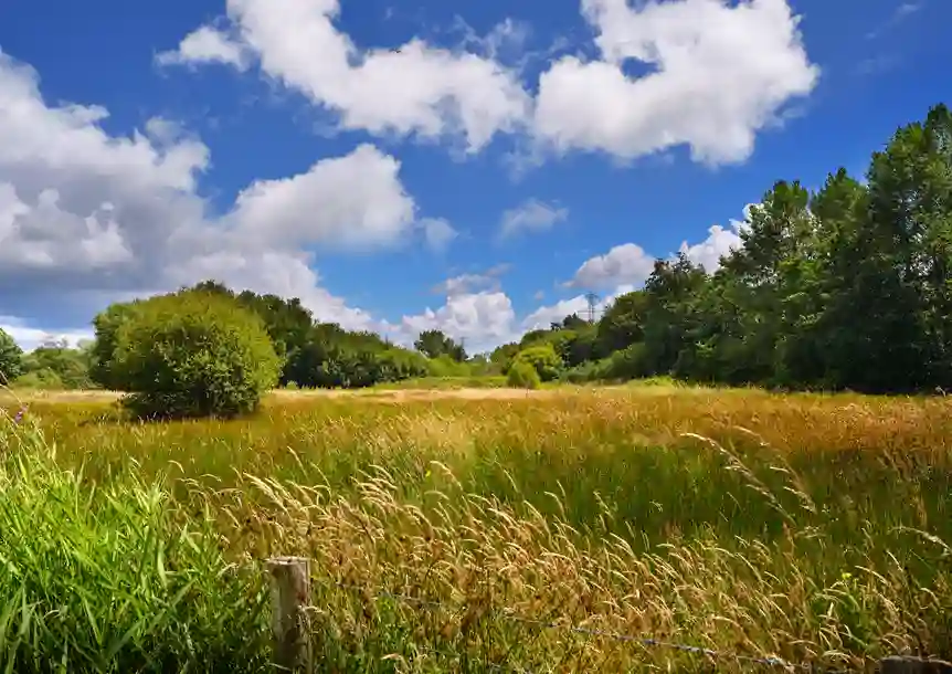 Berwick Nature Reserve