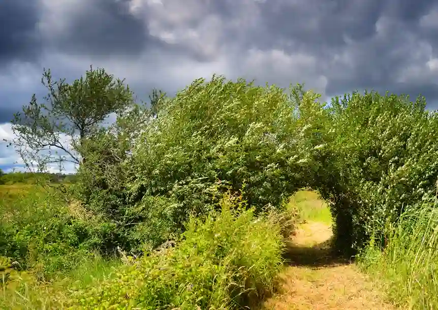 Berwick Nature Reserve