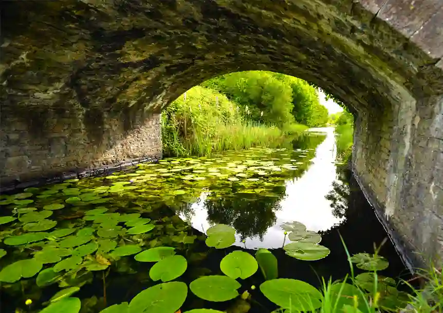 Tennant Canal