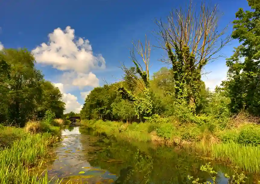 Tennant Canal