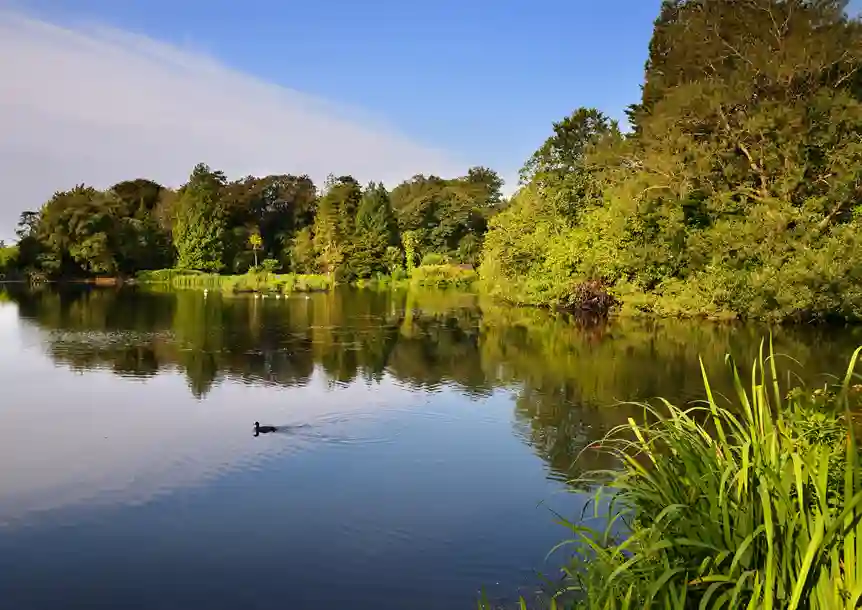 Brynmill Park, Swansea