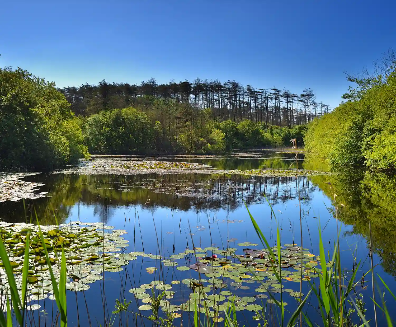 Pembrey Country Park