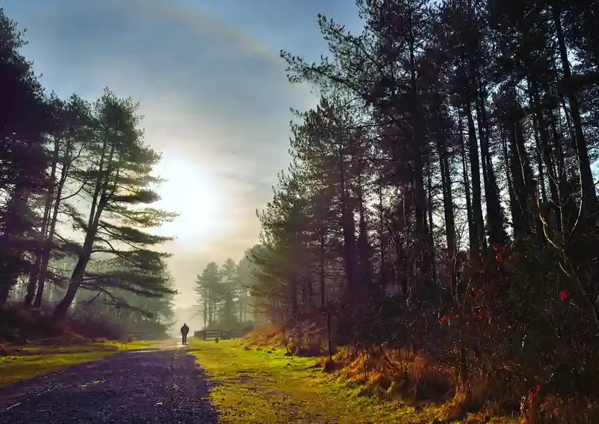 Pembrey Peninsula, Carmarthenshire