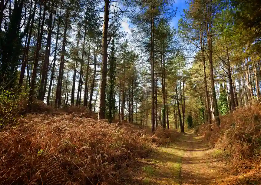 Pembrey Peninsula, Carmarthenshire