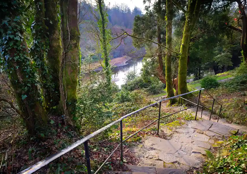 Penllergare Valley Woodland