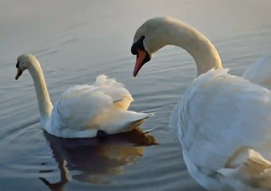 Sandy Water Park, Llanelli