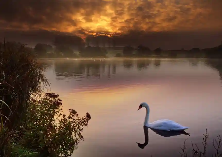 Sandy Water Park, Llanelli