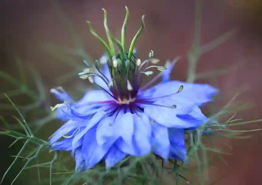 Sandy Water Park, Llanelli