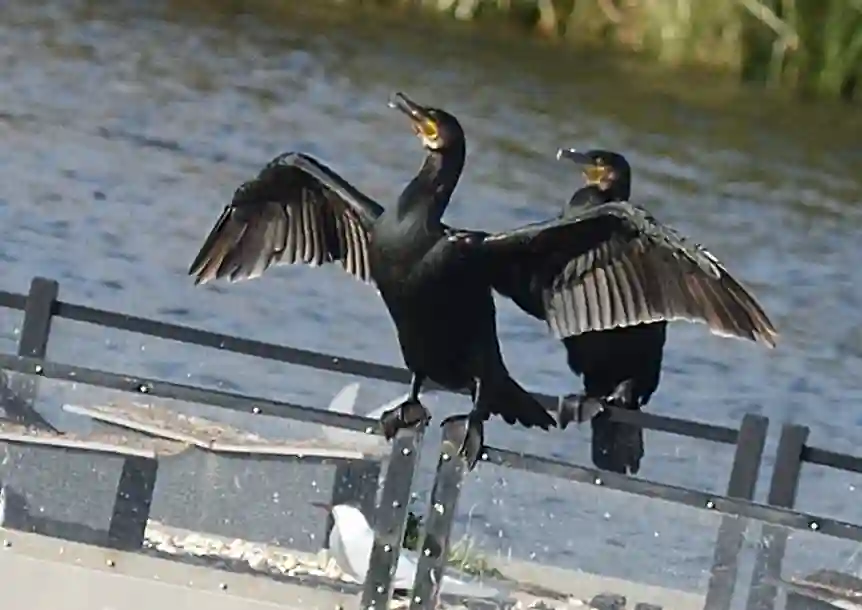 Sandy Water Park, Llanelli