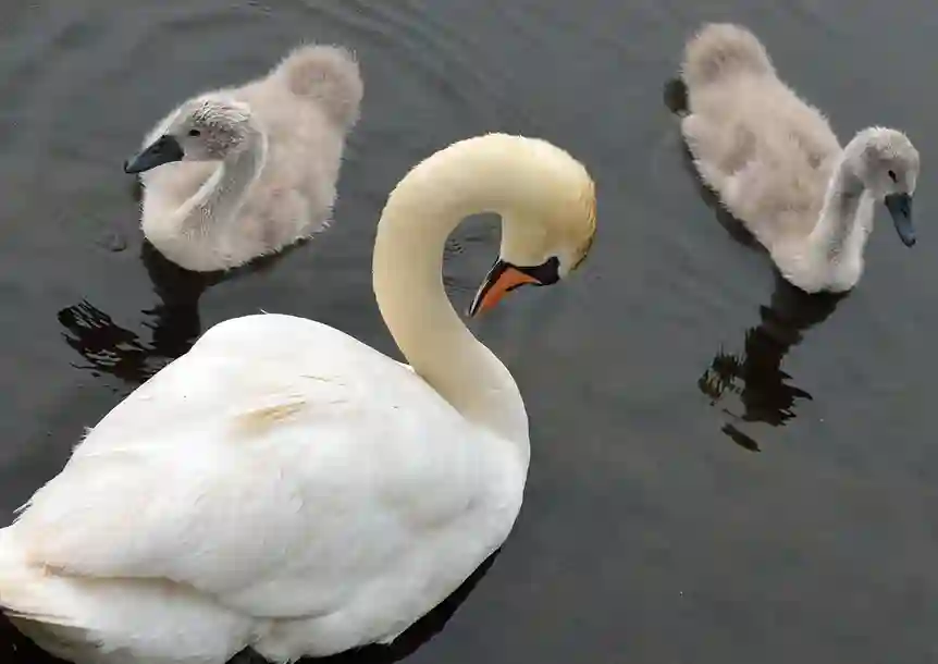 Sandy Water Park, Llanelli
