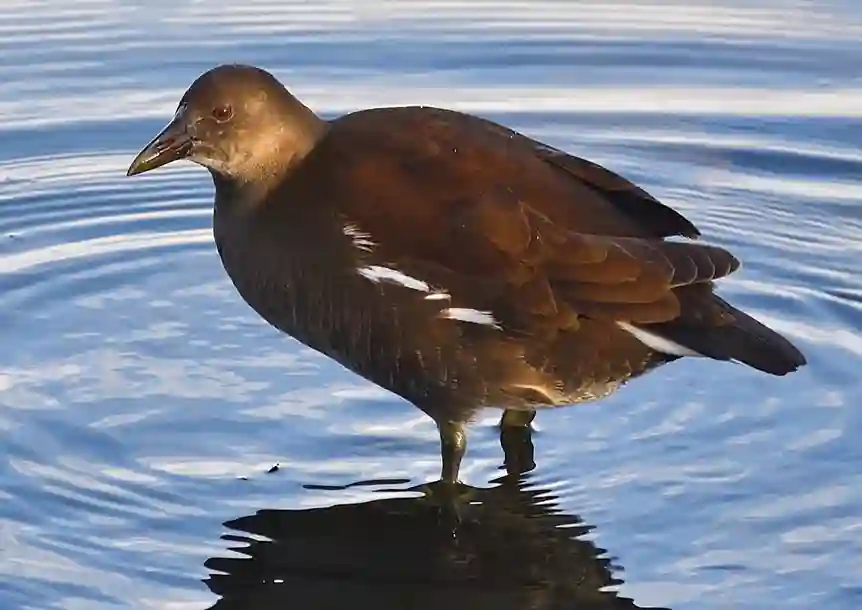 Sandy Water Park, Llanelli