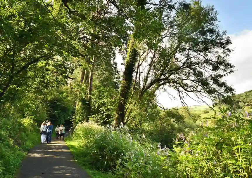 Swiss Valley, Carmarthenshire