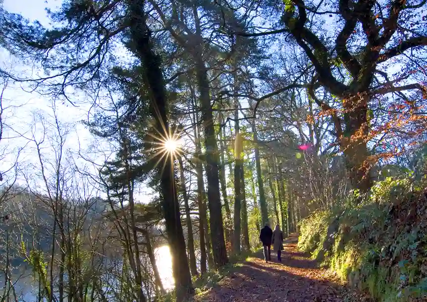 Swiss Valley, Carmarthenshire