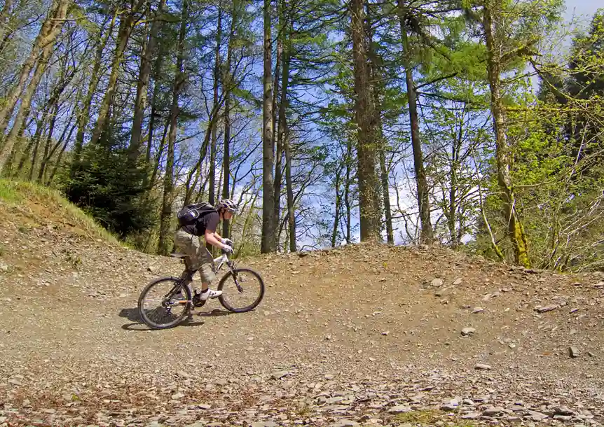 Brechfa Mountain Biking Centre