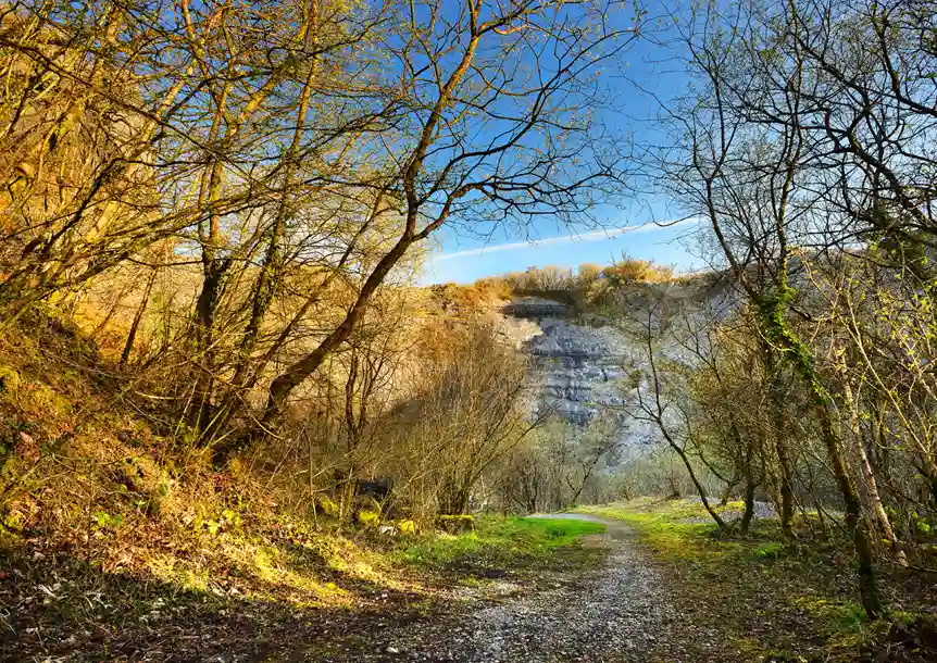 Carmel Nature Reserve