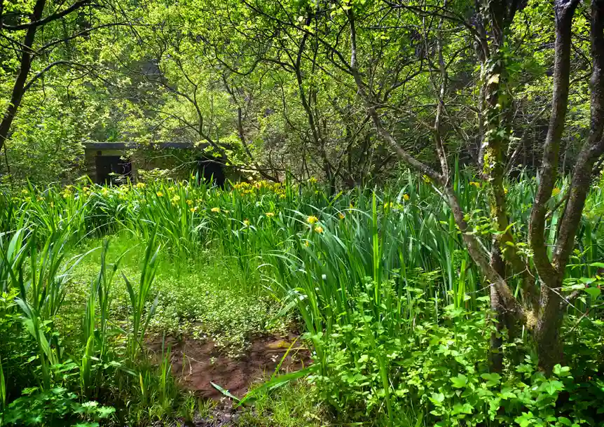 Carmel Nature Reserve