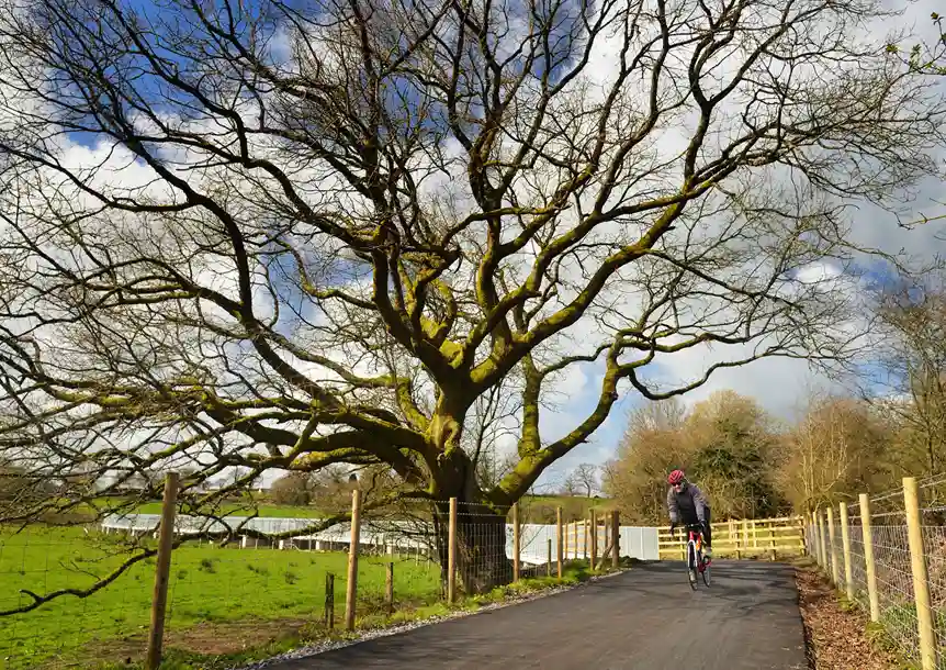 Tywi Valley Cycle Path