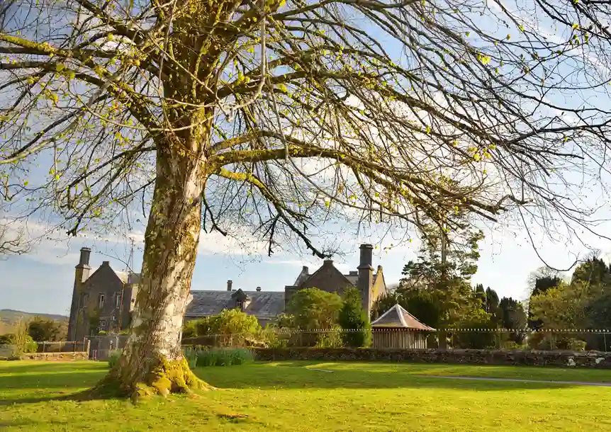 Gelli Aur Country Park