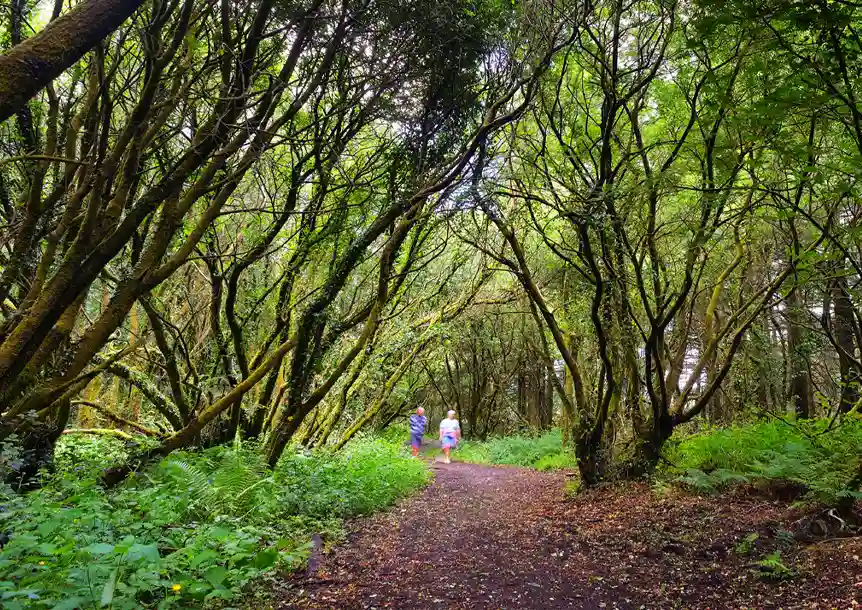 Llyn Llech Owain Country Park